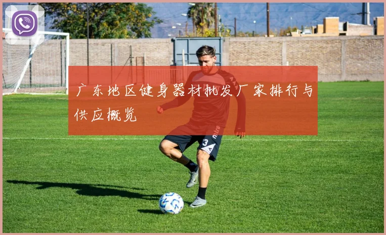 广东地区健身器材批发厂家排行与供应概览