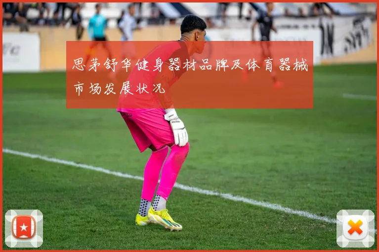 思茅舒华健身器材品牌及体育器械市场发展状况