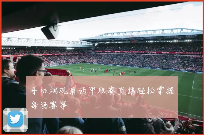 手机端观看西甲联赛直播轻松掌握每场赛事